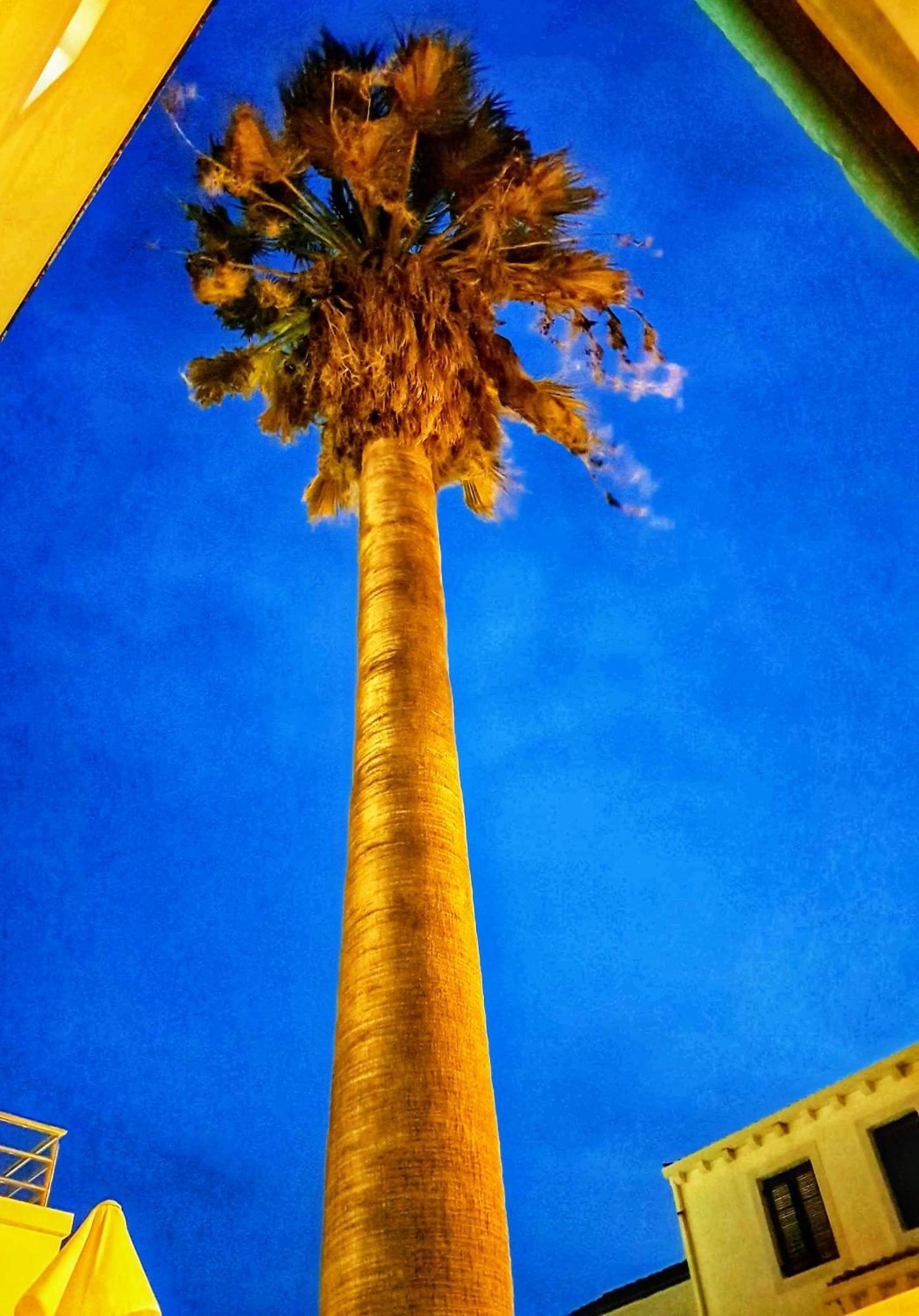 Villa Palcic II Novalja Dış mekan fotoğraf